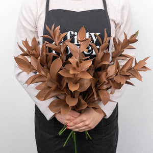 Mocha Mousse Ruscus Greenery