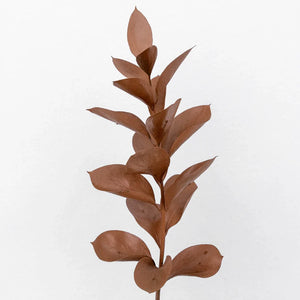 Mocha Mousse Ruscus Greenery