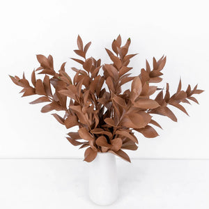 Mocha Mousse Ruscus Greenery