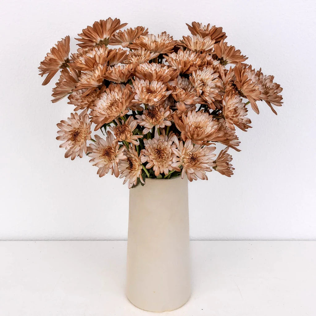 Mocha Mousse Sprayed Enhanced Pom Flower