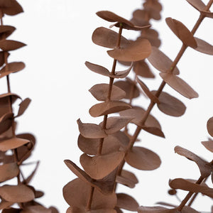 Mocha Mousse Tinted Baby Eucalyptus