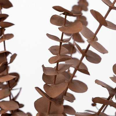 Mocha Mousse Tinted Baby Eucalyptus