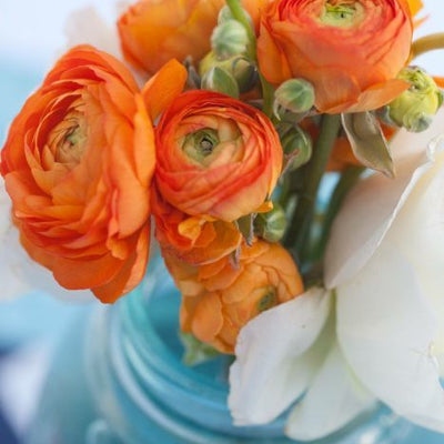 A Happy Colored Fall Wedding