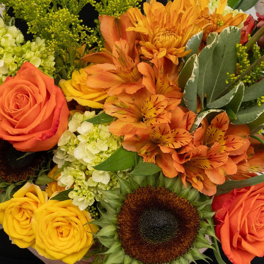 Modern Sunflower DIY Flower Kit