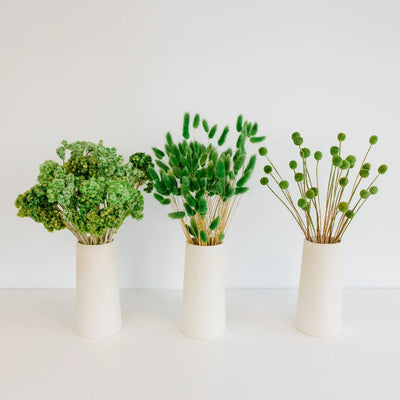 Moss Green Dried Flower Pack