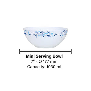 Larah by Borosil Skyleaf Serve n Store