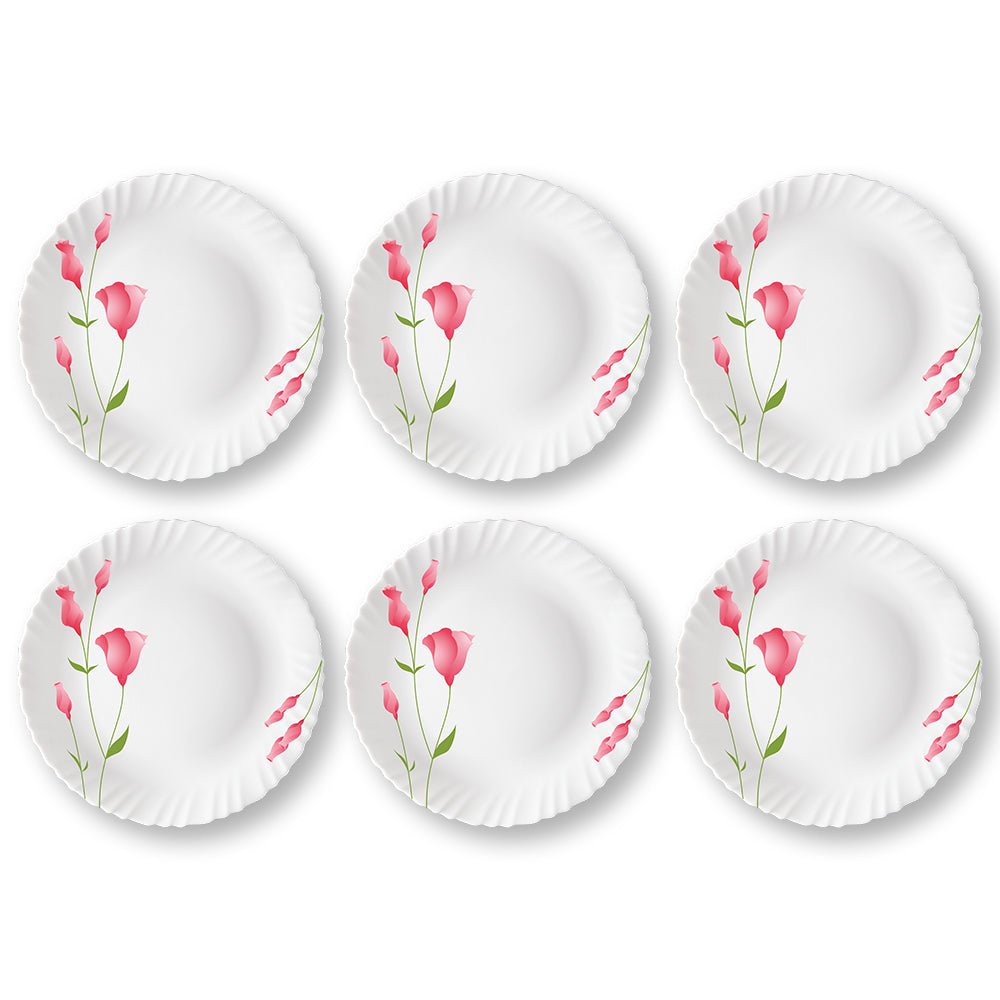 Larah by Borosil Diana Full Plate Set