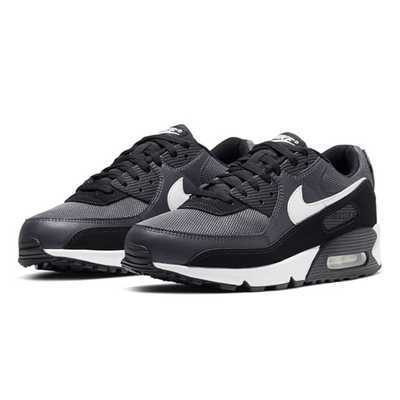 Nike Air Max 90 Iron Grey