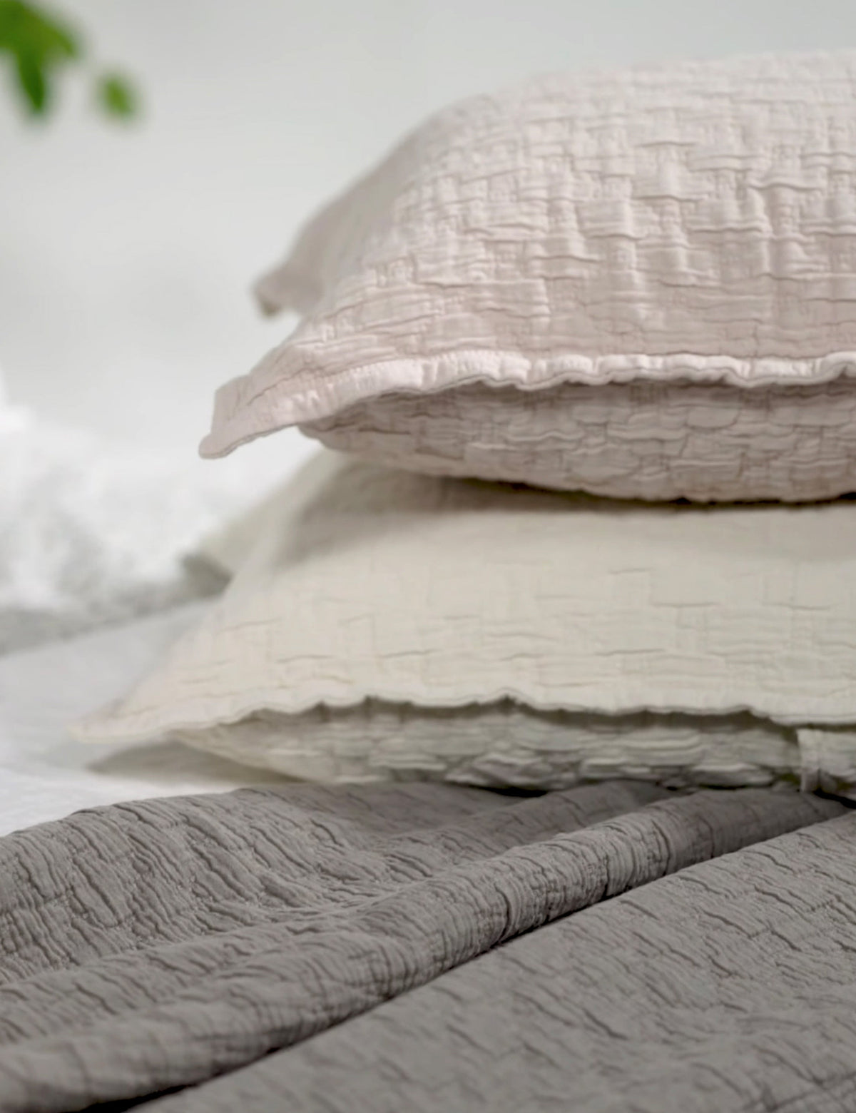 Ojai Cotton Matelasse Euro Sham by Pom Pom at Home