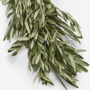 Fresh Handmade Olive Branch Garland