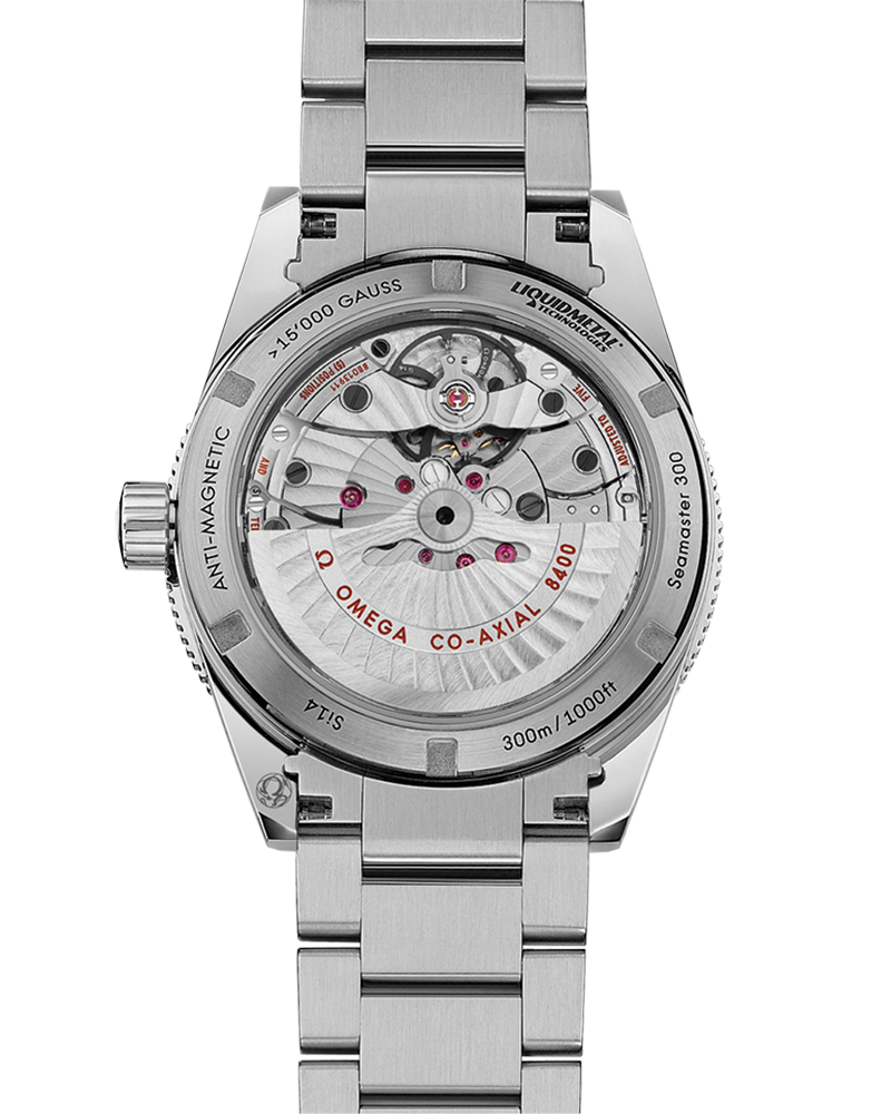 Omega Seamaster Black Dial Men 41MM