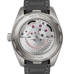 Omega Seamaster Aqua Terra 150M Co‑Axial Master Gmt Worldtimer Grey Dial Men 43MM