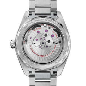 Omega Seamaster Aqua Terra 150M Co‑Axial Master Chronometer Silver Dial Men 41MM