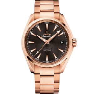 Omega Seamaster Grey Dial Men 42MM