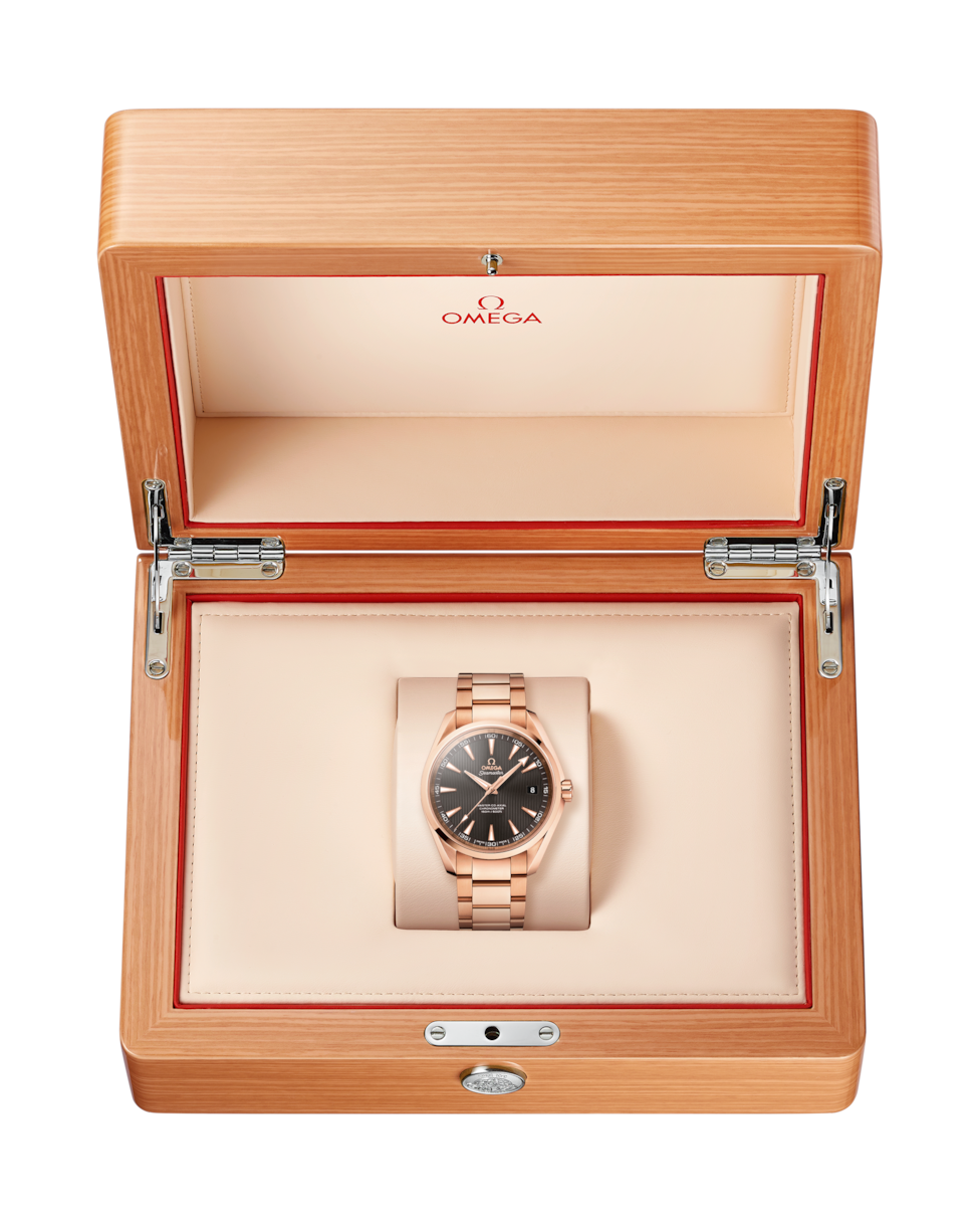 Omega Seamaster Grey Dial Men 42MM