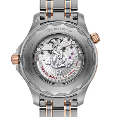 Omega Seamaster Diver 300M Co‑Axial Master Grey Dial Men 42MM
