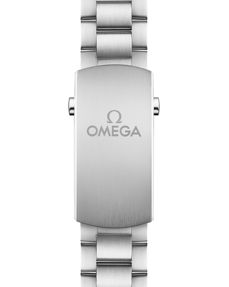Omega Seamaster Planet Ocean 600M Co-Axial Master Chronometer Black Dial Men 43.5MM