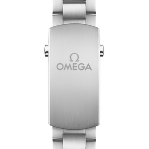 Omega Seamaster Planet Ocean 600M Co-Axial Master Chronometer Blue Dial Men 43.5MM