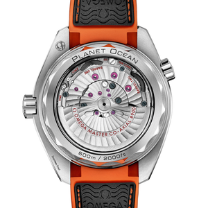 Omega Seamaster Planet Ocean 600M Co‑Axial Master Chronometer Black Dial Men 43.5MM
