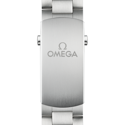 Omega Seamaster Planet Ocean 600M Co-Axial Master Chronometer Grey Dial Men 45.5MM