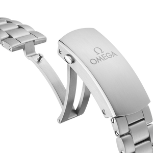 Omega Seamaster Planet Ocean 600M Co-Axial Master Chronometer Grey Dial Men 45.5MM