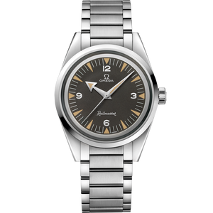Omega Seamaster Railmaster Co‑Axial Master Black Dial Women 38MM