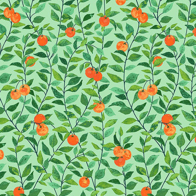 Orange Crush Peel + Stick Wallpaper