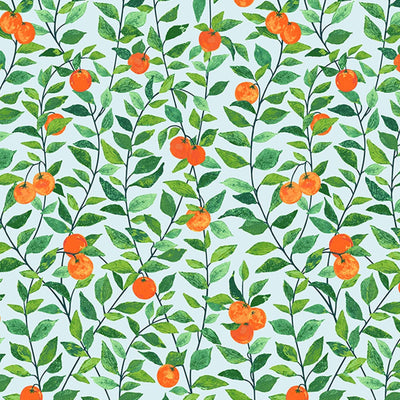 Orange Crush Peel + Stick Wallpaper