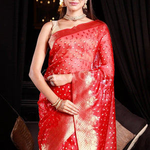Apple Red Organza Saree