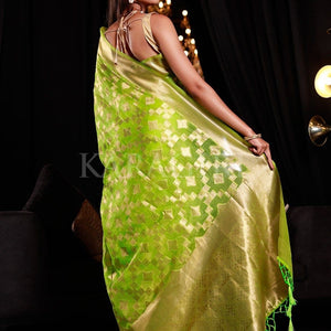 Grape Green Organza Silk Saree