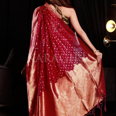 NEHA NARANG in Plum Purple Organza Saree