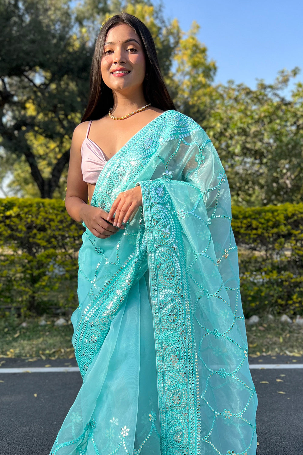 Sky Blue Organza Saree
