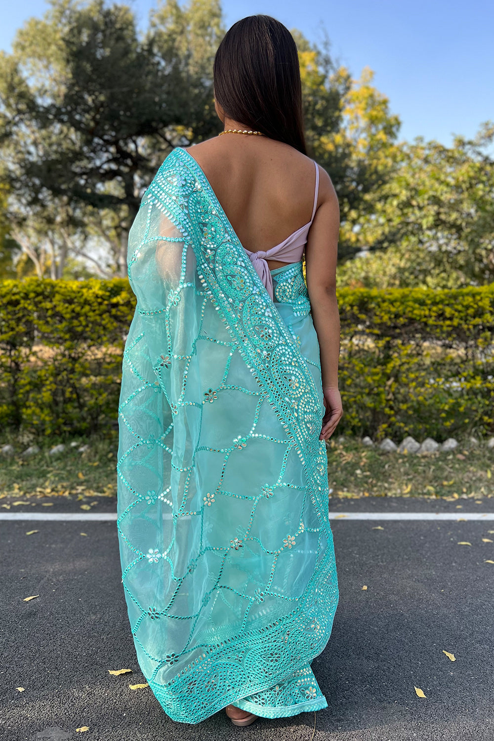 Sky Blue Organza Saree