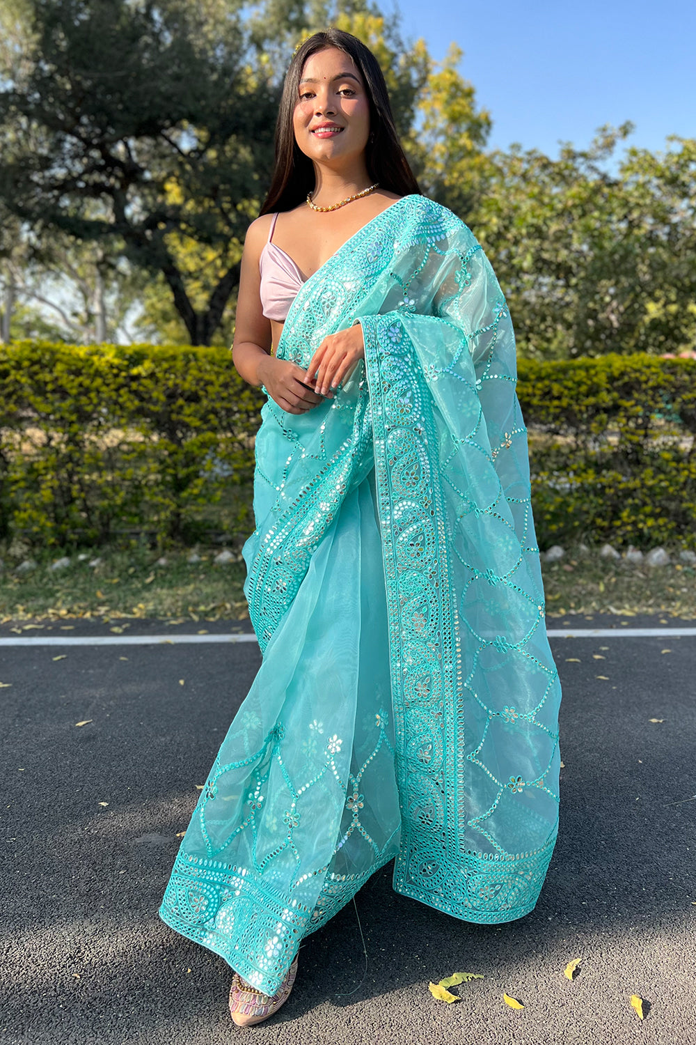 Sky Blue Organza Saree