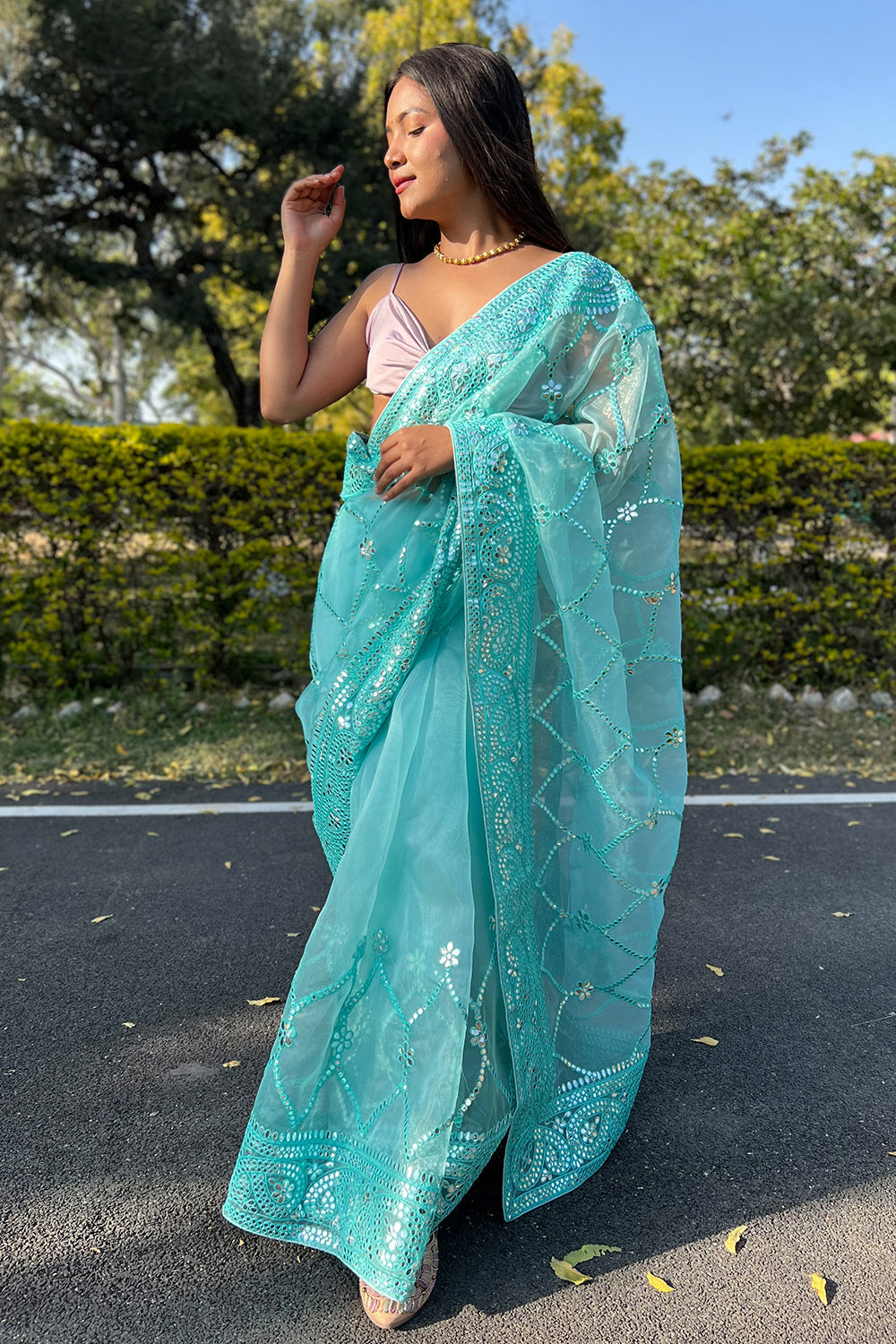Sky Blue Organza Saree
