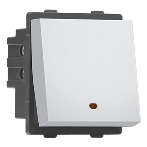 2 Module Switch with Indicator
