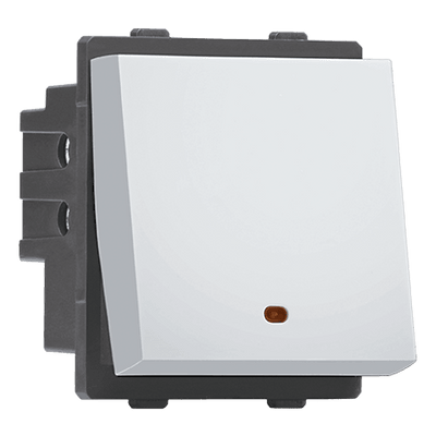 2 Module Switch with Indicator