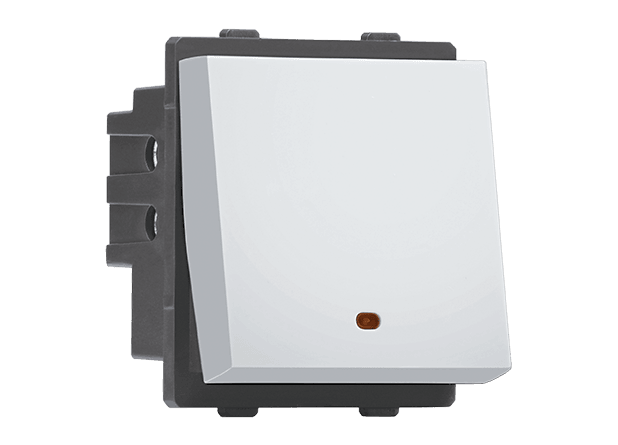 2 Module Switch with Indicator
