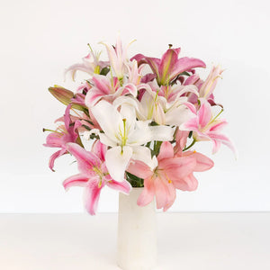 Assorted Pink Oriental Lilies