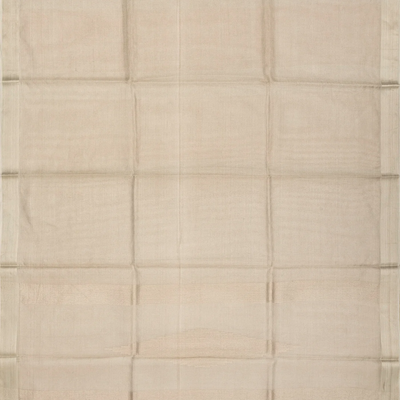 Grey Blended Tussar Tissue Saree With Border-Grey