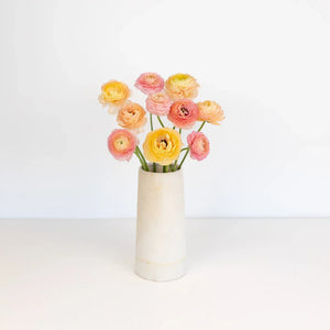 Pink Peach Ranunculus Flowers