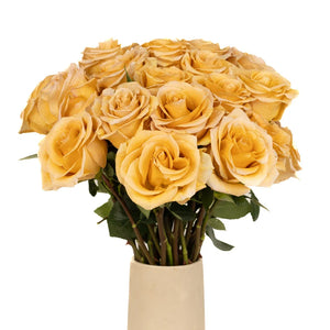 Honey Mustard Combo Rose