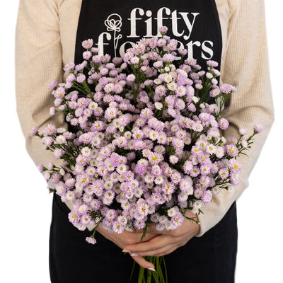 Petite Pink Lilac Aster Flowers