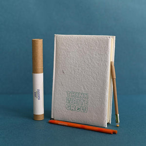 Philodendron Ceylon Golden Plant with Gift Hamper