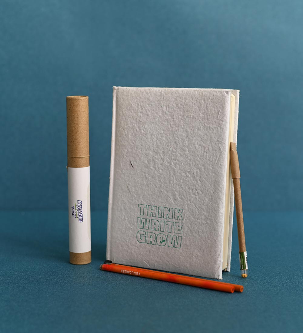 Philodendron Ceylon Golden Plant with Gift Hamper