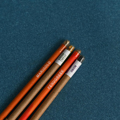 Philodendron Ceylon Golden Plant with Gift Hamper