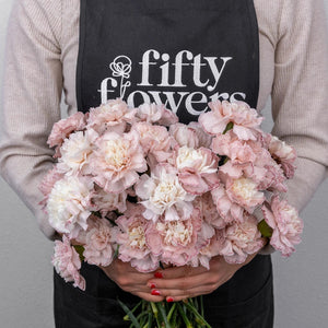 Light Pink Enhanced Carnation Flowers