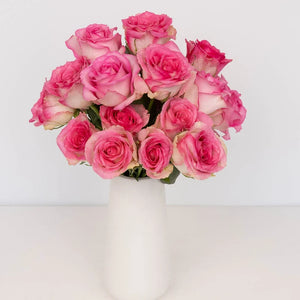 Pink Valentines Day Rose Special