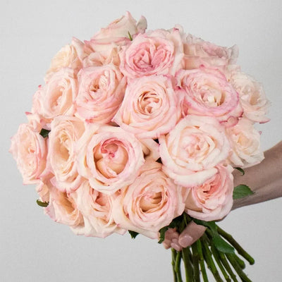 Prepaid Premium Rose Subscription Box