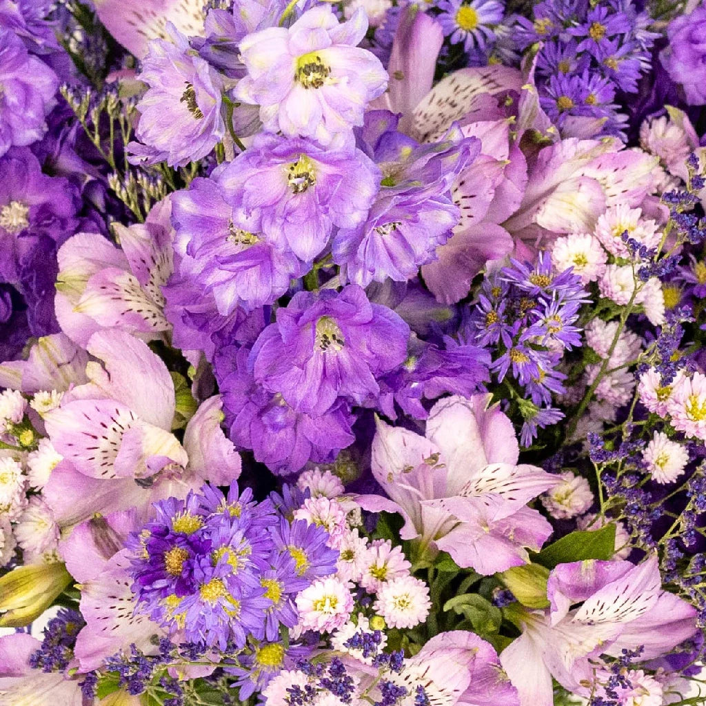 Purple Magic DIY Flower Kit